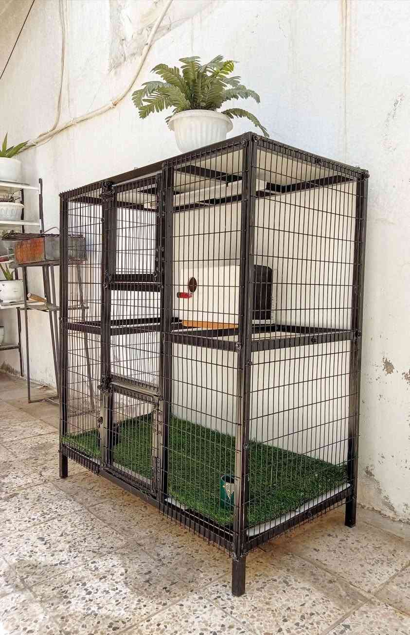 قفص حديد ديكور وتكمه يرهم الكل الطيور السعر ٨٥ الف ابعاد ارتفاع ١١٠ عرض ١٠٠ نزال ٥٠ مكاني الشعله اكو توصيل داخل بغداد


**إذا كنت صاحب هذا الإعلان وتريد حذفه لأي سبب، رجاءا أرسل رسالة إلى الدعم الفني**