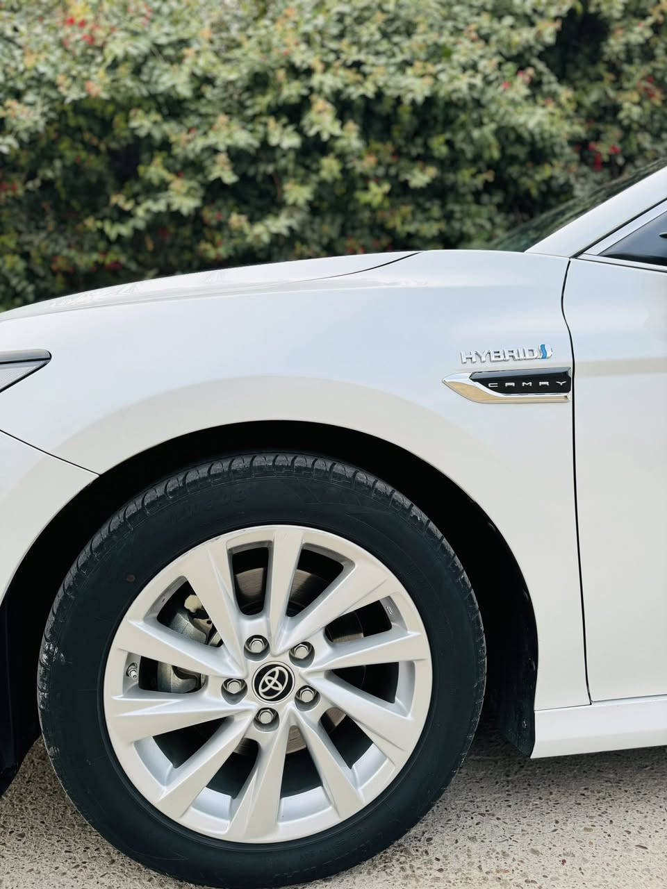 السلام عليكم
كامري 2023 ساز SAS GLE 
كشنات جلد ، تحكم كهرباء بلكشنات الامامية ثنينهن ، شاشة و سستم سماعت JBL ، بردة خلفية ، لد داخلي ، علامات ترحيب 
رقم بغداد ماشية 68 الف كيلو السيارة مكفولة و بيها صيانة كاملة داخل الوكالة 
مكان السيارة بغداد
السعر 248 
***********
