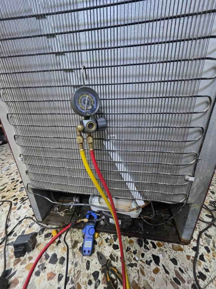 الديوانيه 🔴🔴‼️ صيانه ورشه متنقله

ورشـــه الضــــــمان للتبريد 
موسم 2026🔴👏🏻

(الديوانية)🔴🔴 صيانه ثلاجات و السبالت 

تنصيب  سبالت  🛠  وصيانه🔩   -غسل  كافة أنواع أجهزة التبريد موقعياً و بكادر متخصص .. 👷🏻‍♂️

💢 يعنى عندك صيانة او تنصيب لا تحتار ، إتصل بينا 📞 و راح نجيك لباب بيتك .. 
ما عليك بس الاتصال 
صيانة - شحن غاز - تنصيب  -عمل فاكيوم للسبلت غاز 410 a

العنوان ( الديوانية)🔴🔴🔴
دغارة وين تريد صيانه موقعي واتساب *********** بإدارة الفني محمد فاخر
