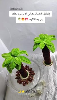 نخلة رمضان • زينة سفرة • موصل