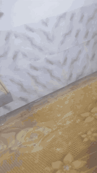 سلام عليكم ورحمة بيت تجاوز بسايدين مال تقاطع ال١٢ مقابل المنتزه موقف يخبل بيت سيراميك وغرفه واستقبال كبيره ومطبخ وحوش وتانكي ماسس حار وبارد جاهز مجهز نظيف الاستقبال خمسه في اربعه مرتب وموقعه حلو جدا ب8 وبي مجال كلش قليل صاير عليه ب13 رقمي ***********
