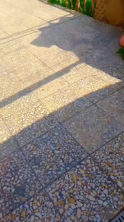 سلام عليكم دارالبيع   كماليه شارع الجامع قرب مدرسه المفيد مساحه٢٦٠ جبهه١٠ ونص نزال٢٥ طابو صرف بسمسي صب مسلح بناء قديم ترميم جديد طابقين صالح السكن

  ***********
