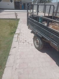 ستوته • ٢٠٢٤ • مكفولة شاصي وبدي
