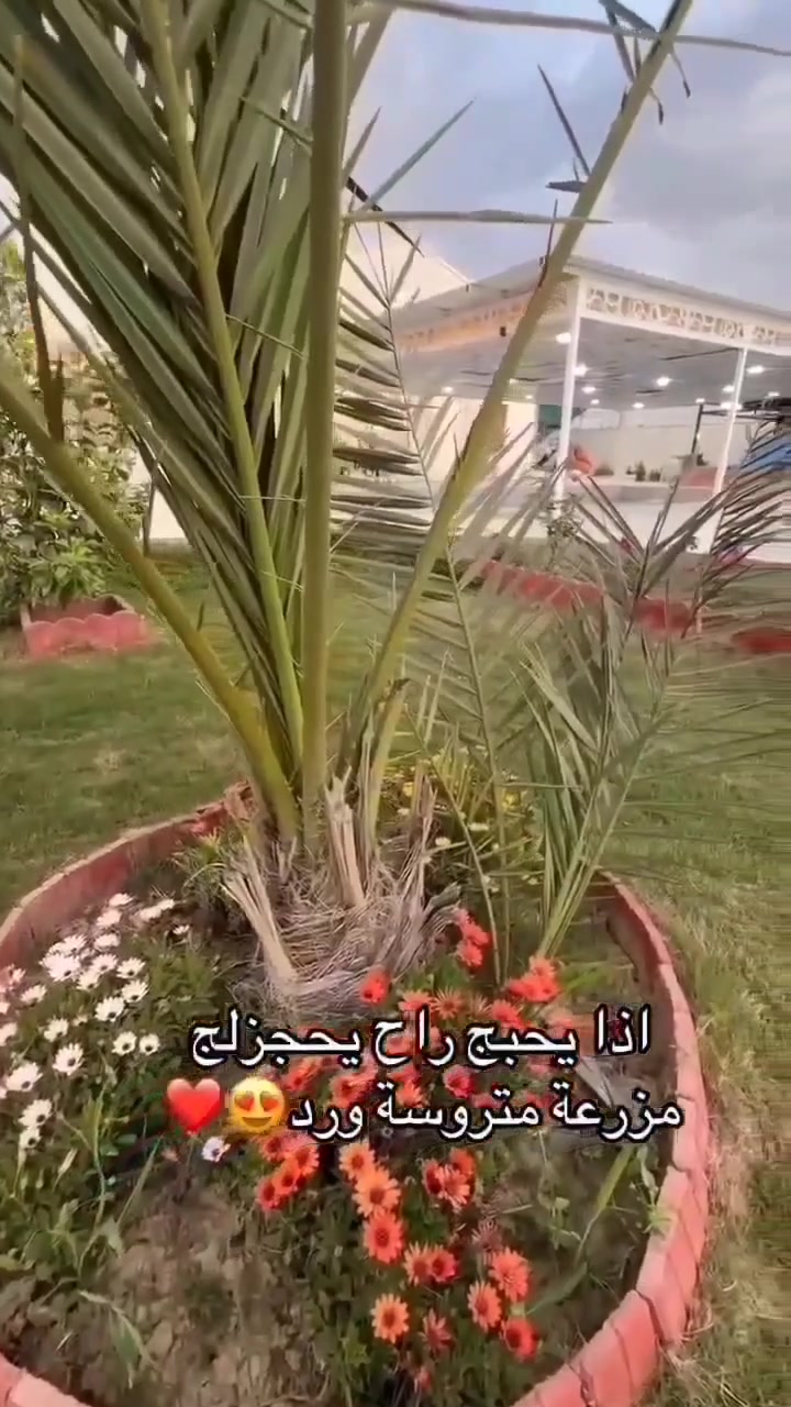 متوفره #عدة مزارع في بلد وبغدادوباقي المحافضات احجز واستمتع في عطلة الصيف مع مزارعنا 🏝️🏖️🏕️
للحجز والاستفسار يرجى التواصل على الواتساب ‭٠٧٨٧ ٦٩٩ ٥٨٧٦‬
