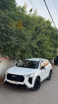 جولين • ٢٠٢٥ • بدون حوادث