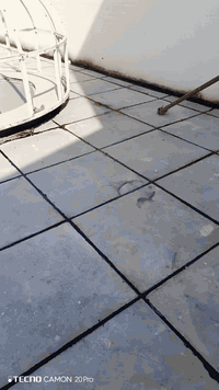 سكلة  المرتضى لعمل الاشتايكر والايزوكام والزفت 
   لسنا الاول لكننا الافضل 

🤩🤩 سكلة  المرتضى تقدم افضل اعمال  تصليح الماستك القديم والتالف
بشروط هندسيةوباسعار تنافسية 🤩🤩
(ماعليك غير تتصل واحنة نجيك للباب )
مستعدون  لتصليح كافة البيوت والمؤسسات الحكومية والأهلية
🌹 ومستعدون للعمل في المحافظات 🌹

1-سعر المتر تصليح وإضافة ماستك  2000الاف دينار 
 2-قلع وإعادة ماستك 3000الاف دينار 
يتضمن العمل 1-تنضيف 2-اضافة ماستك 3-كوي بالنار 

للاتصال والاستفسار على الارقام التالية 

ابو محمد الجبور/***********
محمد  /***********
العنوان/النجف الاشرف/حي السلام/مقابل ابو مصطفى للدجاج 

او مراسلة الصفحة الرسمية
