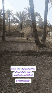 كربلاء شارع السيدة • ٩٠٠م • بستان طابو