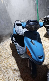 فراشه • فحل • بصره