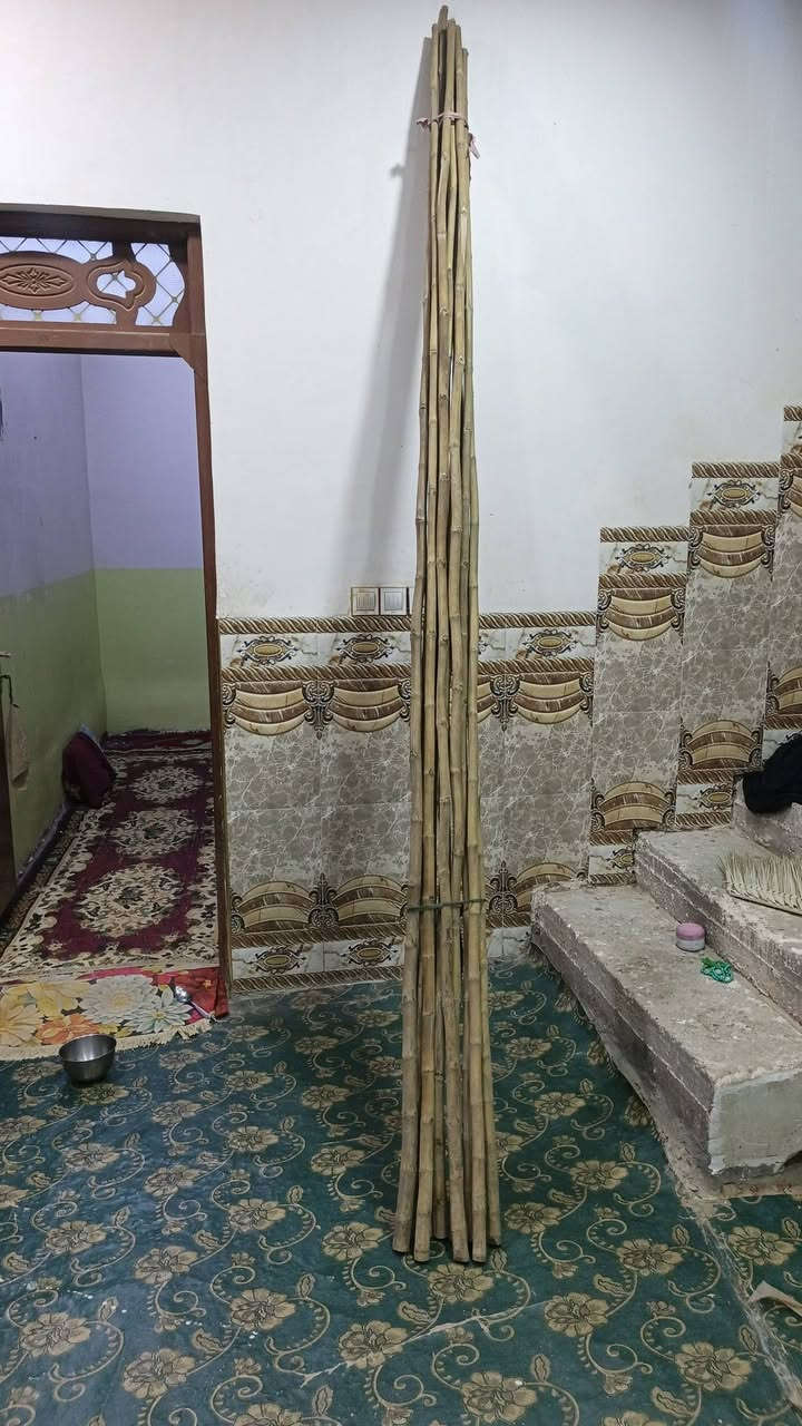سلام عليكم
خدمه لامام الحسين ع
يوجد دمام متر و١٦٠مع عربانه وخيزران من ٣مترالى٥متر


**إذا كنت صاحب هذا الإعلان وتريد حذفه لأي سبب، رجاءا أرسل رسالة إلى الدعم الفني**