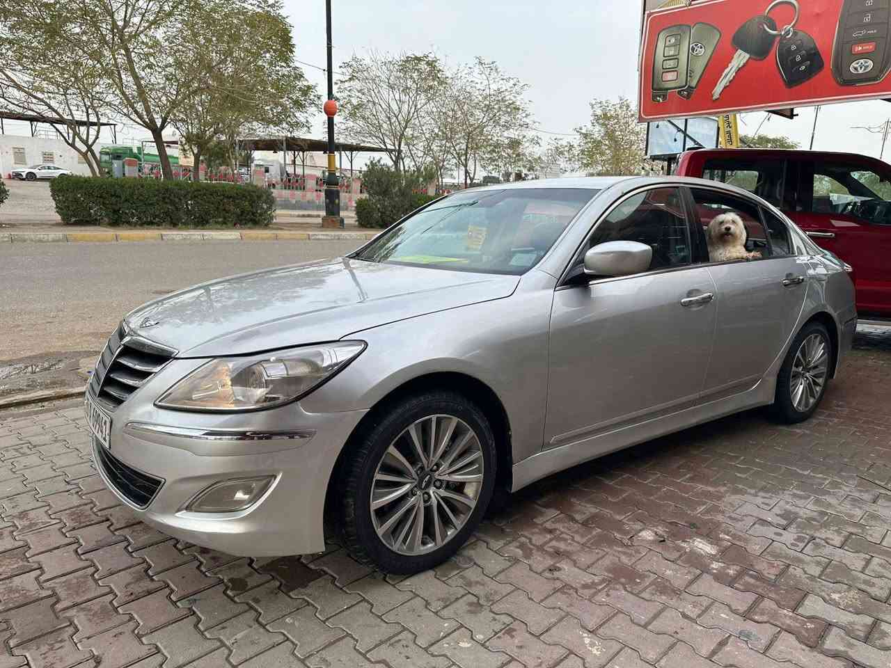 جنسز موديل٢٠١٣ بيهة ٥قطع صبغ رقم انكليزي ديالى باسمي شرط التحويل السعر98وبيهة مجال قليل 
***********
