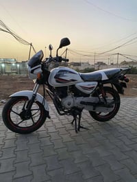 بوكسر • هندي • ٢٠٢١