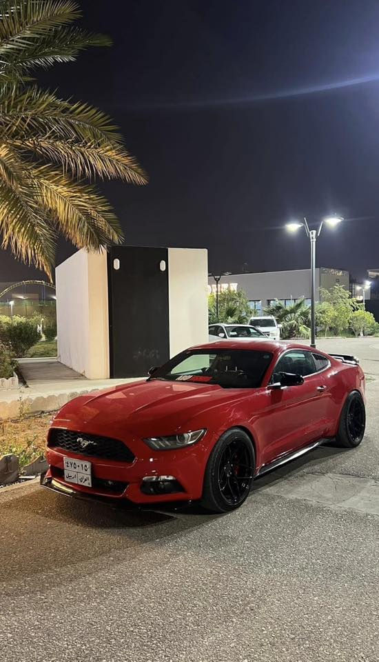 من اجمل وانظف السيارات بموديله للبيع او مراوس
موستنك 2017
3700 cc
بدون قطرة صبغ حته دعاميات اكفلهن من صبغ
كير محرك اكسل كفالة وبشرط
ماشية 73mi

الاضافات 
-دبات روش اصليات 600$
-ويل فويسن 800$
-اكس بايب 100$
-دركة كاربون فايبر فورجد اخر اصدار 600$
-تخم تاير جديد 300$
-سبويلر GT 500
-لحيه امامية 
-دوسات جانبية
-دفيوزر خلفي
-لد جانبي سموك
-دهن موتول اصلي 

عليه فايلين برمجه تيم موبر🔥
واحد ستعمال يومي
واحد للدوس

السيارة كلش نظيفة ومعتني بيه كلش
السعر 186$

مكانه بالنجف
للاستفسار خاص او ***********
