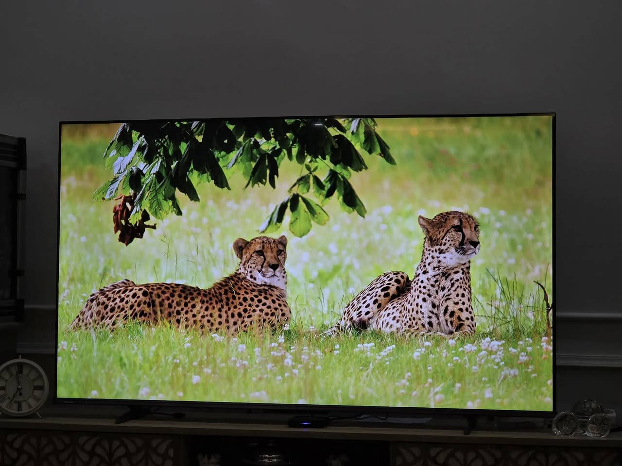 فرۆشتنی خێرا
Hisense QLED 120HZ شاشە ٦٥ 
گرنتی ٢ ساڵی شەریکە زۆر کەم کاری کردووە بەشەرت

- تایبتمەندیەکان:

• شاشەی هایسێنس کواڵتی 4k و QLED و 120 HZ

• ـ Direct Full Array بۆ دابەشکردنی تەنانەت ڕووناکی پشتەوە بۆ باشترکردنی کۆنتراست.

• ڕەنگی QLED – بۆ پیشاندانی ڕەنگی زیندوو و دەوڵەمەند وپڕ.

• دۆلبی ڤیژن و دۆلبی ڤیژن ئای کیو – بۆ بینینی سینەمایی و ڕێکخستنی ئۆتۆماتیکی ڕۆشنایی شاشەکه لەسەر بنەمای ڕووناکی ژوورەکه.

• ـ HDR10+ Adaptive & HDR10+ Gaming – بۆ وردەکاری ڕوونتر لە فیلم و یارییەکاندا.

• ڕێژەی نوێبوونەوەی 120 Game Mode Pro – بۆ یاریکردن بەبێ بچڕان و تاخیربوون.

• دۆخی وەرزشی AI – بۆ بینینی یاریەکان بەشێوەیەکی باشتر.

• دۆلبی ئەتمۆس لەگەڵ DTS Virtual X دەنگی دەوروبەری واقیعی و سێ ڕەهەندی دەدات کە لە هەموو ئاراستەکانەوە هەستی پێ دەکەیت.

• ـ 3D Sound Upscaler کوالیتی دەنگی ئاسایی بەرز دەکاتەوە بۆ ئاستێکی بەرزتر و سینەماییتر.

• سیستەمی ANDROID – ڕووکارێکی کارپێکردنی ئاسان و خێرا و پارێزراو.

• تایبەتمەندی کۆنترۆڵی دەنگی – کۆنترۆڵ کردن له ڕێگای دەنگەوە بەبێ ڕیمۆت.


**إذا كنت صاحب هذا الإعلان وتريد حذفه لأي سبب، رجاءا أرسل رسالة إلى الدعم الفني**