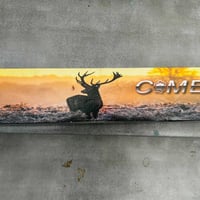 كوميت • منظار 6-24×44 • لبنادق هوائية