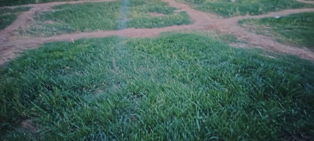 إسلام عليكم بيت لبيع معه ٦٠٠متر عله شارع العام خطً اول ماء وكهرباء وتبليط مقابيل الشهيد ابو جكاره لبيع للاستفسار التصال عله رقم التالي مكلف بنشر
***********
