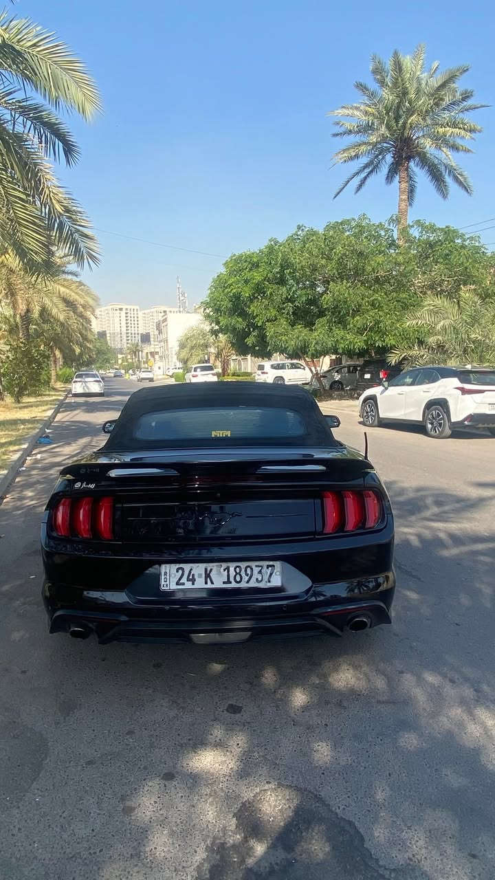 موستنك 2018 كشف ايكو بوست
السيارة فووول مواصفات 
مكينة 2300 تيربو
السيارة رقمهة دهوك
حادثهة جاملغين عكس السايق والباب مبدل اصلي شركة نفس الون
السعر 107 وبيهة مجال
السيارة بيهة نواقص وينرادلهة ترتيبات وماكو موستنك 18 بهيج سعر بعد والي متعجبة السيارة خل يعبر المنشور والله يرزقة بالاحسن منهة 
*********** واتساب فقط
