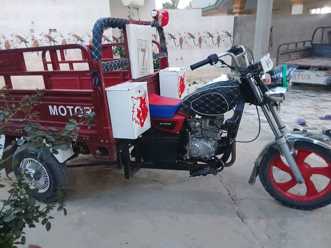 ديالى العباس 