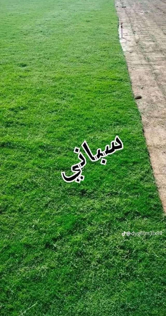 سلام عليكم متوفر ثيل هندي و أمريكي و فرنسي و إيطالي متوفر كوادر تجهيز ملاعب دوائر حكومية منتزه وحدائق و يوجد توصيل مجاني لجميع محافظات العراق 
يوصلك الطلب خلال 24 ساعة انتصل على الرقم *********** و مراسله واتساب
