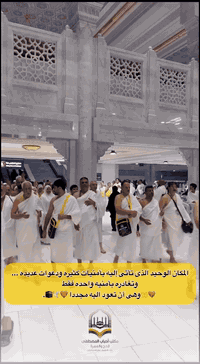 حملة احباب المصطفى للحج والعمرة 
     المكتب الرئيسي الاعظمية 
           فرع الإسكندرية 
     ***********/***********
