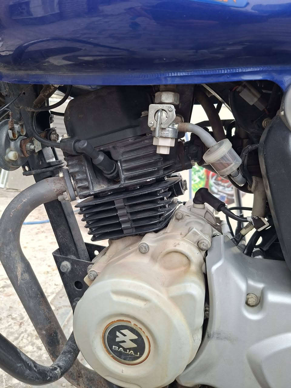 بوكسر مرقم بسمي دراجه مجفته جديد تجفيت شركه الدراجه خير من الله الدرجه ب اسمي يعني ثاني يوم التحويل الدراجه موديل 2023 العنوان بغداد البياع حي المعالف
 ***********
سعر مليونين و 100 وبيه مجال
