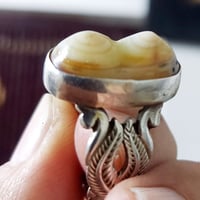 سليماني خنصر صب عراقيه سنام الجمل صب  عراقيه حلوه صب عراقي  السعر خاص ...