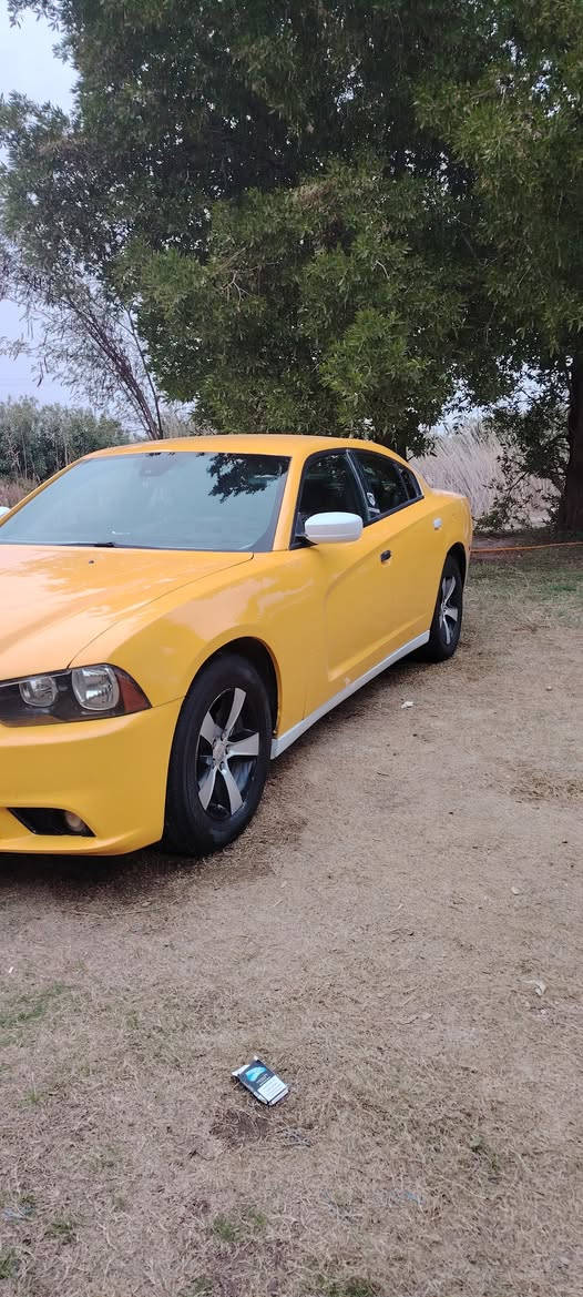 سلام عليكم جارجر موديل 12رقم انبار حادثه بابين وجاملغ خلفي طخه بصيطه مكينه حاويه كير جديد حداديه امامي خلفي جديده تخم تاير جديد منظومه تبريد جديده من الاخير السياره ماعيزه اي شي تحويل مباشر السعر 140 وبيه مجال رقم موبايل ***********
