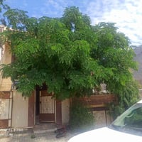 کـەلار گـەڕەکـی بـەردەسـوور • ١٦٠م • نص مبني