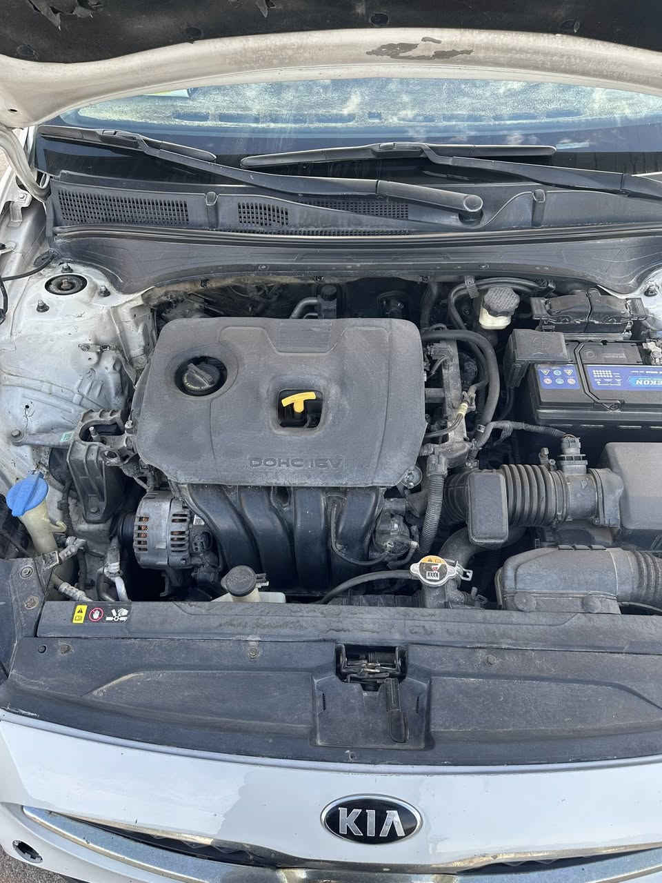 سلام عليكم كيا فورتي للبيع وارد امريكي حادث نفس مموضح بصوره معوقين سياره بعد 9 اشهر تخلص صير حره رايدهه130 
***********
