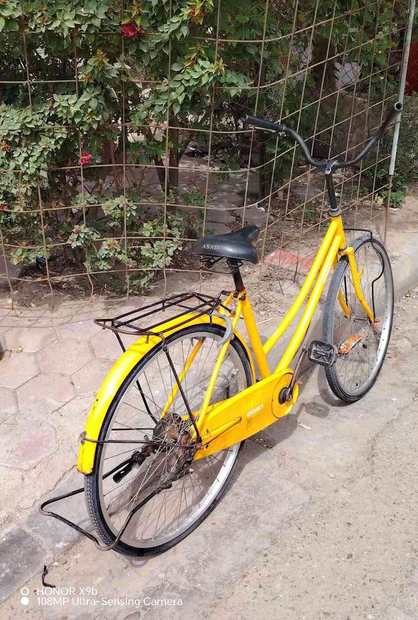 السلام عليكم باسكلات للبيع الأصفر عوزه تاير الأمامي والسود تأيرات 2 الاثنين سعرهم 80


**إذا كنت صاحب هذا الإعلان وتريد حذفه لأي سبب، رجاءا أرسل رسالة إلى الدعم الفني**