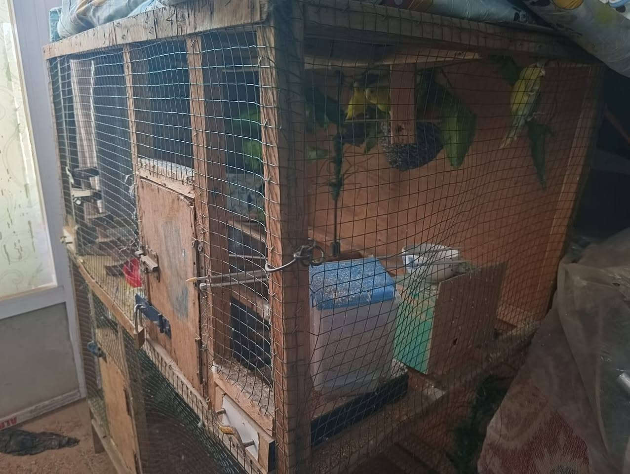 قفص للبيع بدال 40 سويته ب 25 الف فقط 
عنواني ناصرية المركز 
***********
