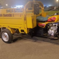ستوته • رقم • سنوية