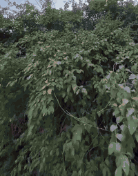 يالله
السلام عليكم شيري A5 2008 رقم بغداد  ثاني يوم مداور سياره جاهزة تبريد تدفئا حدادية شاشه كامره سياره خير من الله على وضعها بلاد  *********** مكان سياره بالناصريه  سعرها 38 وبي مجال بسيط
