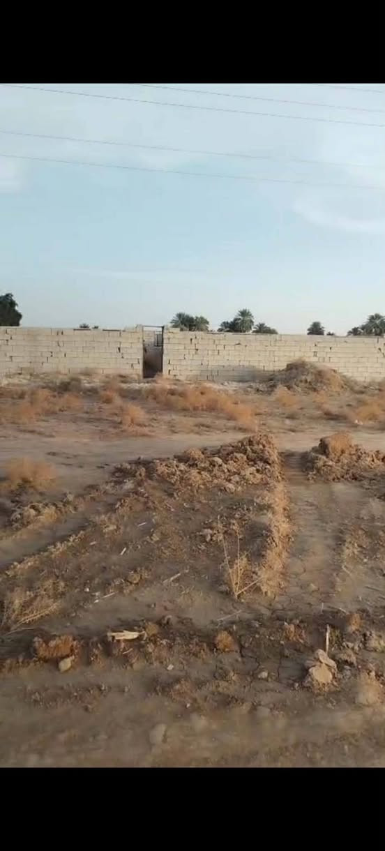 قطعه زراعيه للبيع المساحه 200 مبنيه هيكل يعني بيها غرفتين ومسيجه مكانها خلف نهايت شارع جبار ال كسار مقابل البيوت الطابو للستفسار تصال ع رقم ***********
