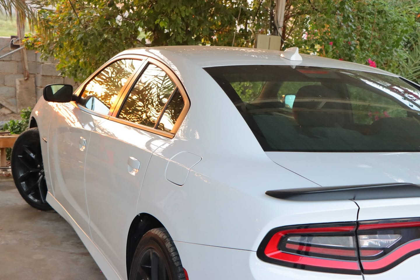 جارجر RT 2022  سيارة جديدة محرك  5700  رقم بغداد باسمي
ماشية 19 الف( كيلو)  /كشنات حضن
شاشة جبيرة كشن كهرباء
تشغيل عن بعد
شفتات ستيرن ويل 20 اصلي
باقي المواصفات معروفه 
سعر 260 $ 
مكان سيارة/ بغداد/المنصور/ .... السياره وارد كندي وحادثه امامي تبديل بنيد
***********
