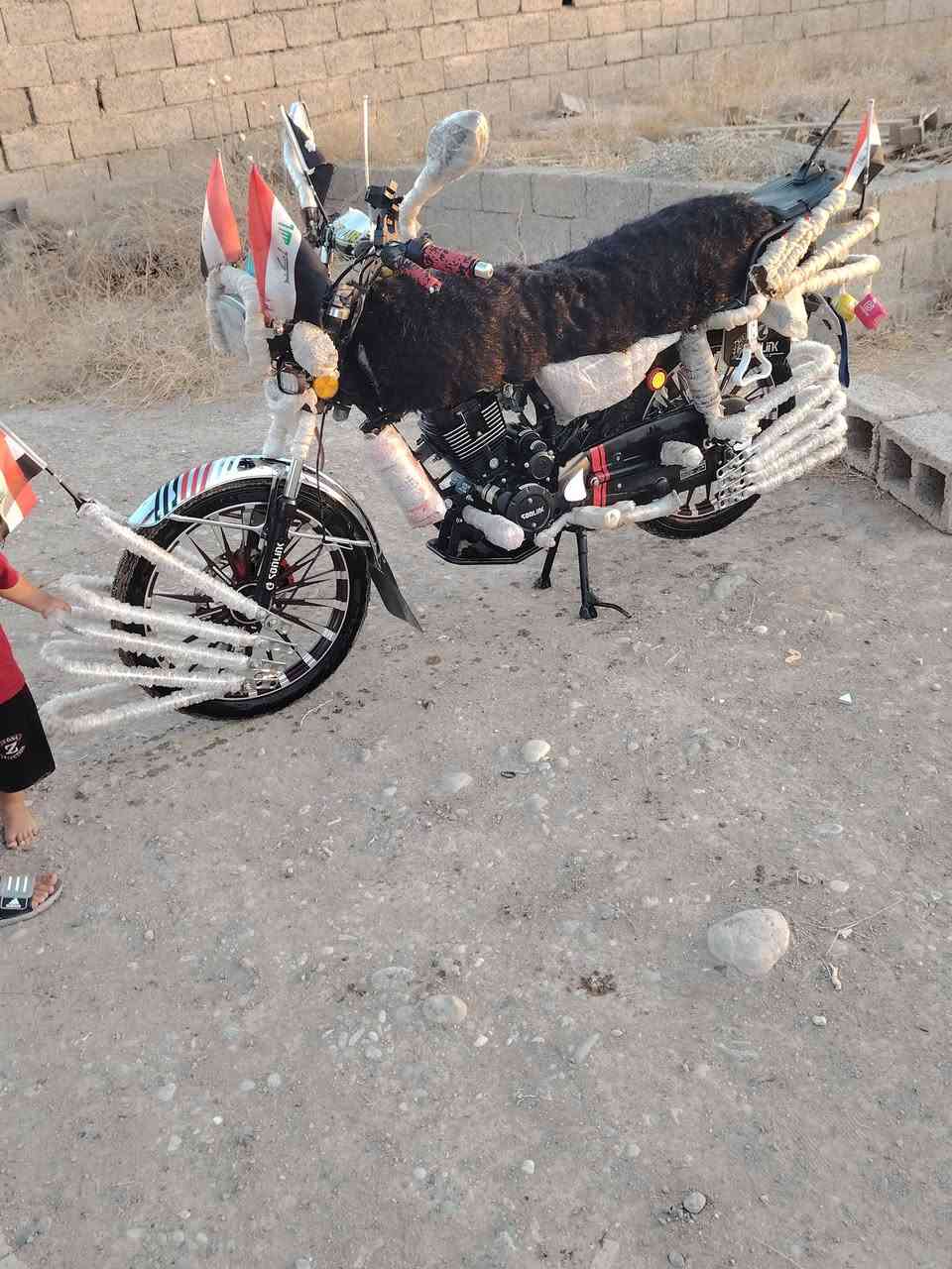 هاي لعيون الحويجه


**إذا كنت صاحب هذا الإعلان وتريد حذفه لأي سبب، رجاءا أرسل رسالة إلى الدعم الفني**