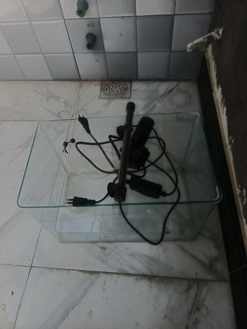سلام عليكم حوض سمك للبيع كامل غراضه طوله 45 ورتفاع 30 
 50 الف وبي مجال قليل


**إذا كنت صاحب هذا الإعلان وتريد حذفه لأي سبب، رجاءا أرسل رسالة إلى الدعم الفني**
