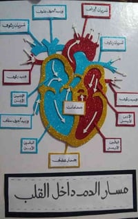 يعلن بيج لمسة فن عن عمل كافة أعمال والأشغال اليدويه الخاصه بالعلوم  كل...