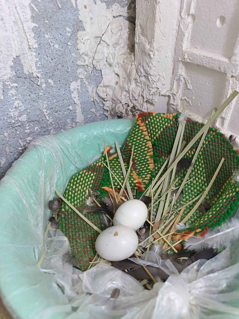 *********** ***********

