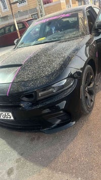 ويل ٢٠ • مراوس بويل ١٨ • نجمي