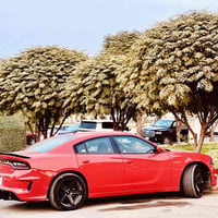 2022 sxt v6جارجر  255$ للتواصل 07804444554
