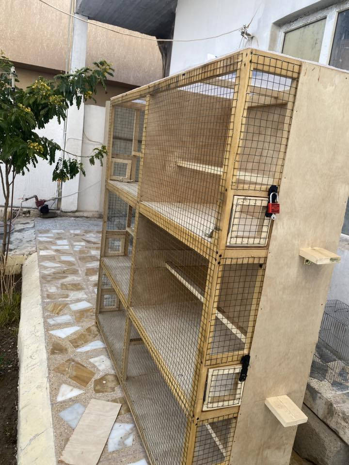 السلام عليكم
قفص للبيع جديد 
 خانات مقطع كامل 
شغل براغي وصمغ فوم وغرا مو بسامير 
سيم ثقيل مغلون 
شغل درجه اولى 
السعر من الاخير قفل 130 الف 
مكاني تكريت القادسيه 
***********
