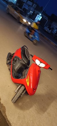 فراشه نثيه • طماطي • مامفتوح