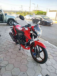 هاوجي • موديل ١٨ • أوراقه ضايعة