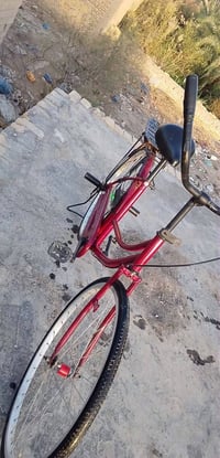 باسكل • مقاس 26 • للبيع