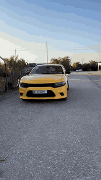 سلام عليكم جارجر للبيع 2019  رقم بغداد خطه. سماوة بصره 
شراي يتصل ‭٠٧٨٠ ٠٩١ ٦٢٦١‬
