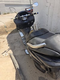فورزا • ٢٠٠٨ • شغالة