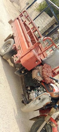 ستوته • موديل 14 • بلدروز