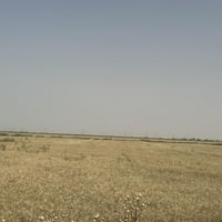 أرض زراعية • ١٠٠ دونم • طابو سند ٢٥