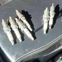 تخم بلك اصلي شرط الفحص مع توصيل كل محافظات العراق  ٣٠ الف  07719075652