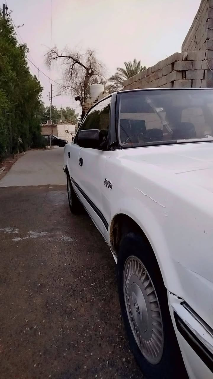 السلام عليكم هارتوب موديل ٩١ مكفوله كير محرك كصه ونقل جثه سياره نضيفه حيل
نسويتهه ٢٩ مداور ثاني يوم باسمي سياره رقم نكليزي هزه جديده سعر ٤٧ وبيهه مجال مكاني بصره شط العرب الجزيره ***********
